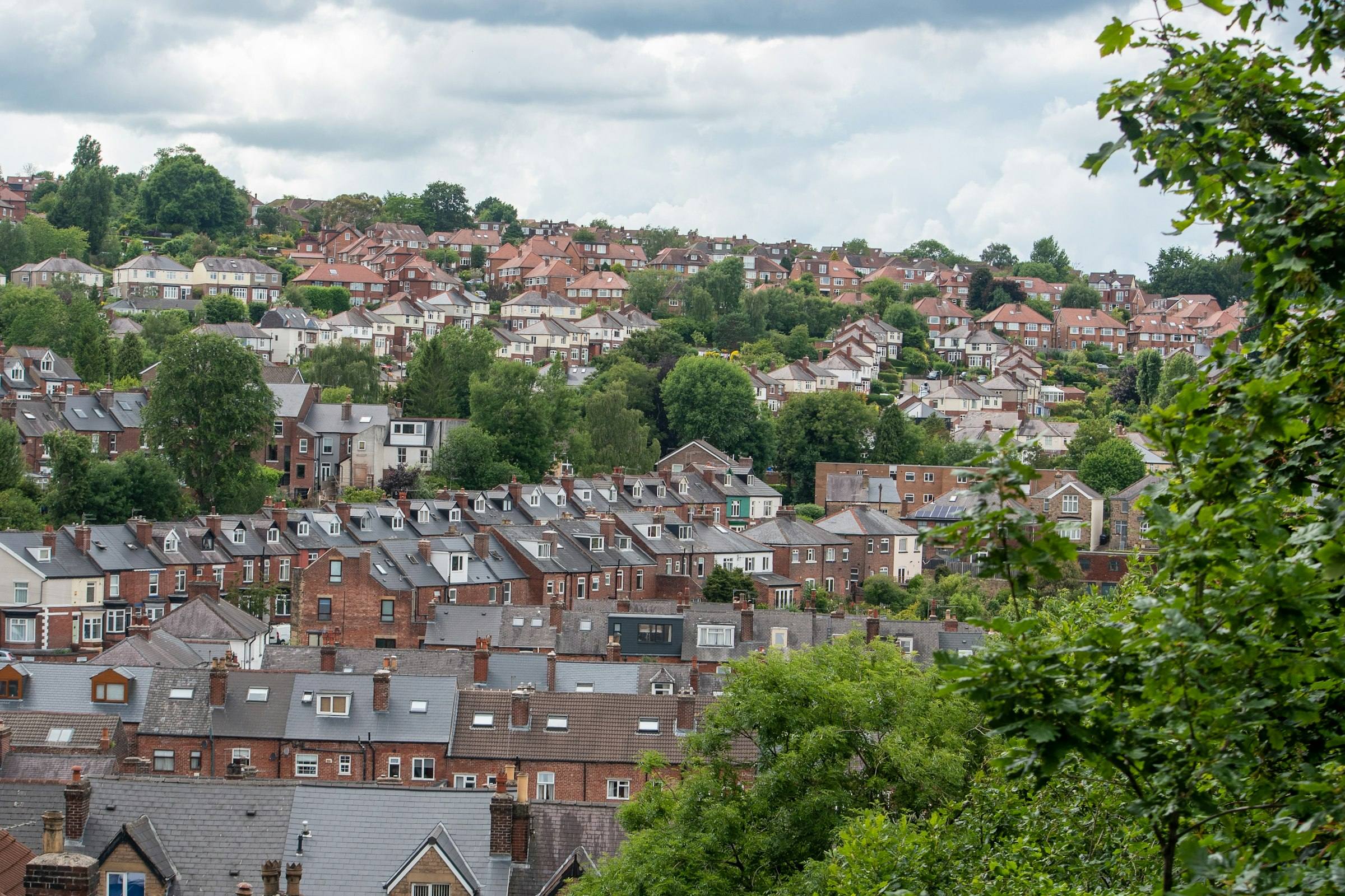 Terraced houses and trees on a hillside in Sheffield.